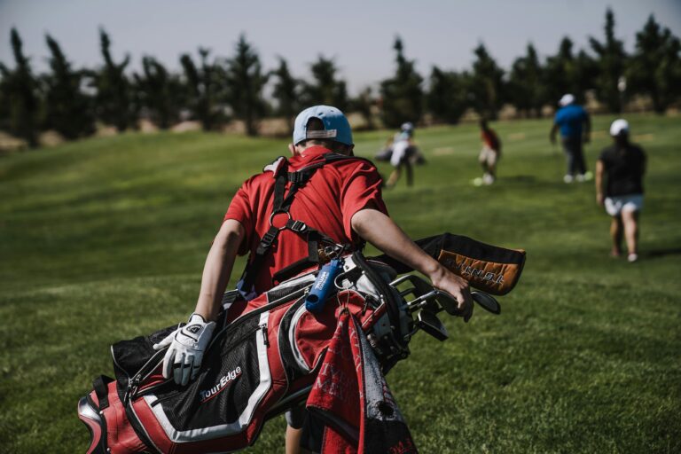 Golf Bag Organizer