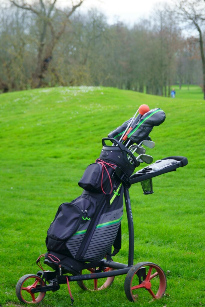 Best Golf Cart Bags